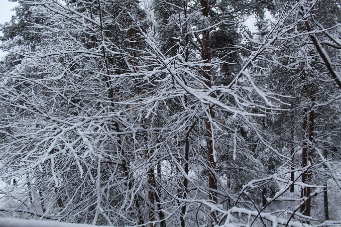 WMO ennustaa heikkoa La Niña -ilmiötä tulevina kuukausina. 1