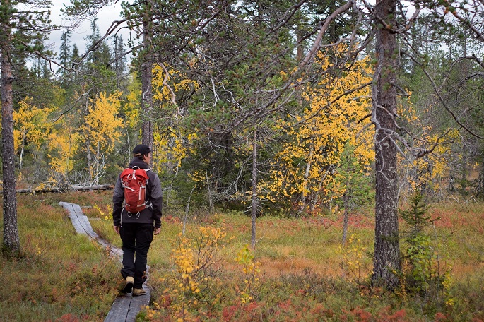 Luonnossa vietetty aika voi edistää nuorten mielenterveyttä: tutkimus 1
