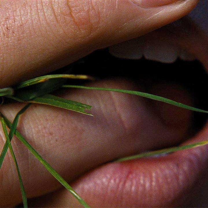 Humiseva harju -elokuvan ohjaaja ilmaisee pettymyksensä – yksi kohtaus jäi leikkaamattomaksi. Humiseva harju -elokuvan ohjaaja ilmaisee pettymyksensä – yksi kohtaus jäi leikkaamattomaksi. 5