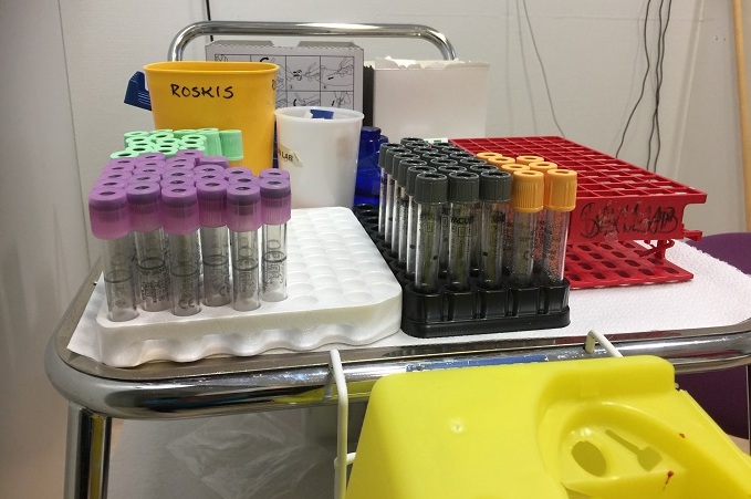 HUSin laboratorio ja asiakaspalvelut kärsivät suurista ruuhkista häiriön jälkeen. 1