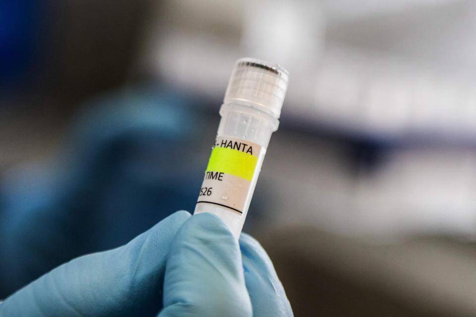 Kaksi hantavirukselle altistunutta suomalaista on sijoitettu eristykseen. 1