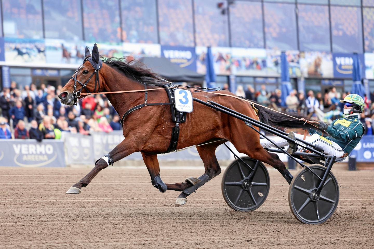 Kuopiolaisori Massimo Hoist jää pois Solvallan Elitloppetista. Kuopiolaisori Massimo Hoist jää pois Solvallan Elitloppetista. 1