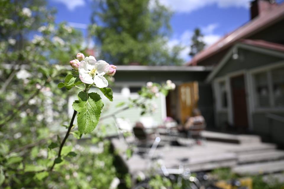 Tänään järjestetään lakkiaiset ja koulun päättäjäiset – sää on ennustettu lämpimäksi ja aurinkoiseksi. 1