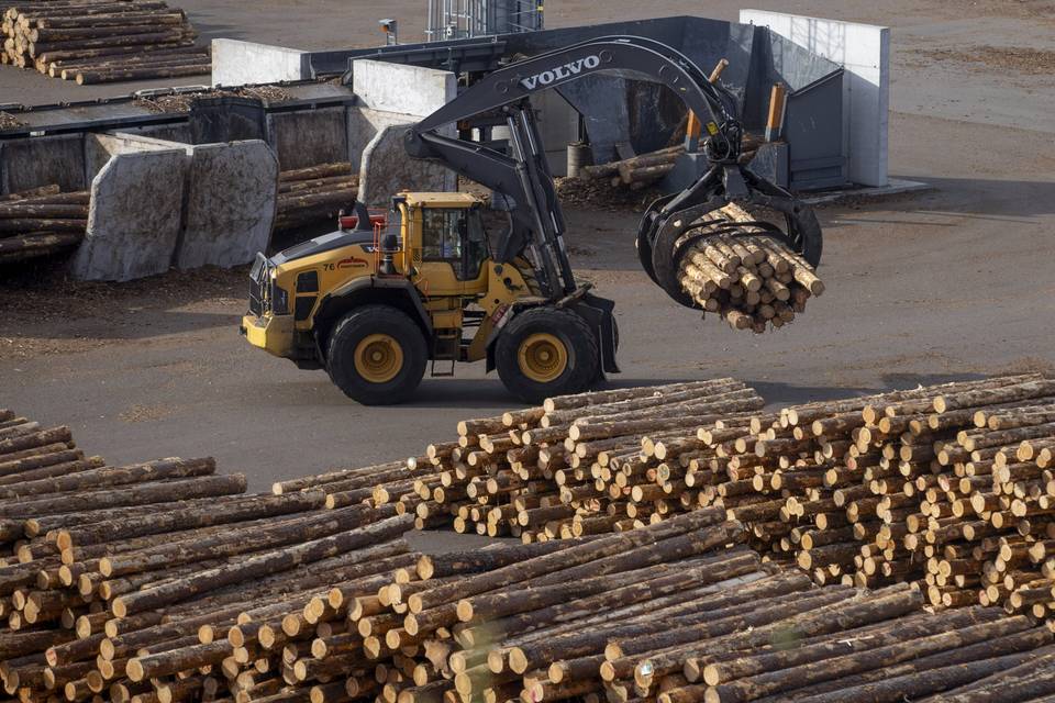 Metsäteollisuuden markkinanäkymät heikot, sellun vientihinta alittaa selvästi edellisen vuoden tason. 1
