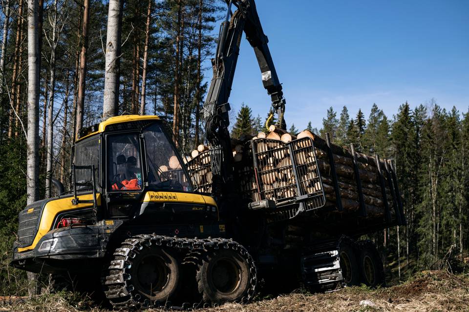 Sahateollisuus pyrkii lisäämään Metsähallituksen puunkorjuumääriä – mahdolliset rajoitukset vaikuttaisivat eniten Pohjois-Suomeen. 1