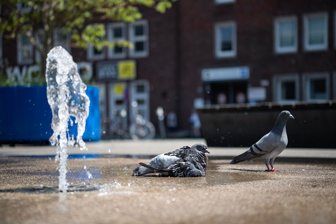 Saksa saavutti kaikkien aikojen lämpöennätyksen 41,3 °C. 1