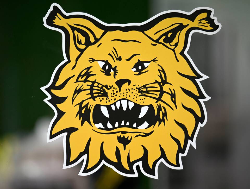 Ilves nimittää uuden päävalmentajan, uruguaylainen Speranza ottaa ohjat. Ilves nimittää uuden päävalmentajan, uruguaylainen Speranza ottaa ohjat. 1
