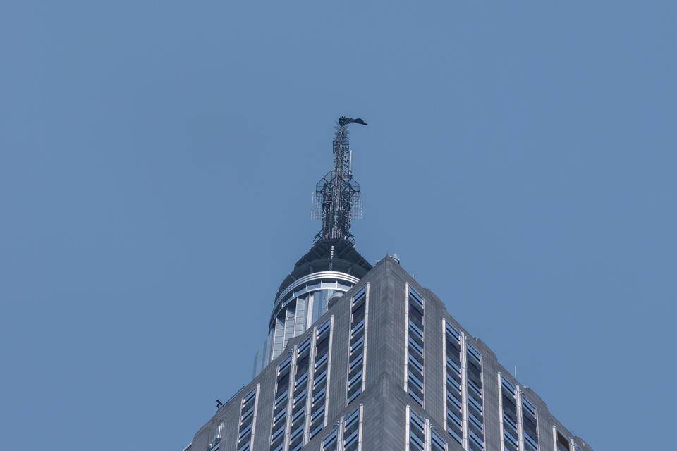 Kaksi rohkeaa kiipesi Empire State Buildingin antennille yli 400 metrin korkeuteen. Kaksi rohkeaa kiipesi Empire State Buildingin antennille yli 400 metrin korkeuteen. 1
