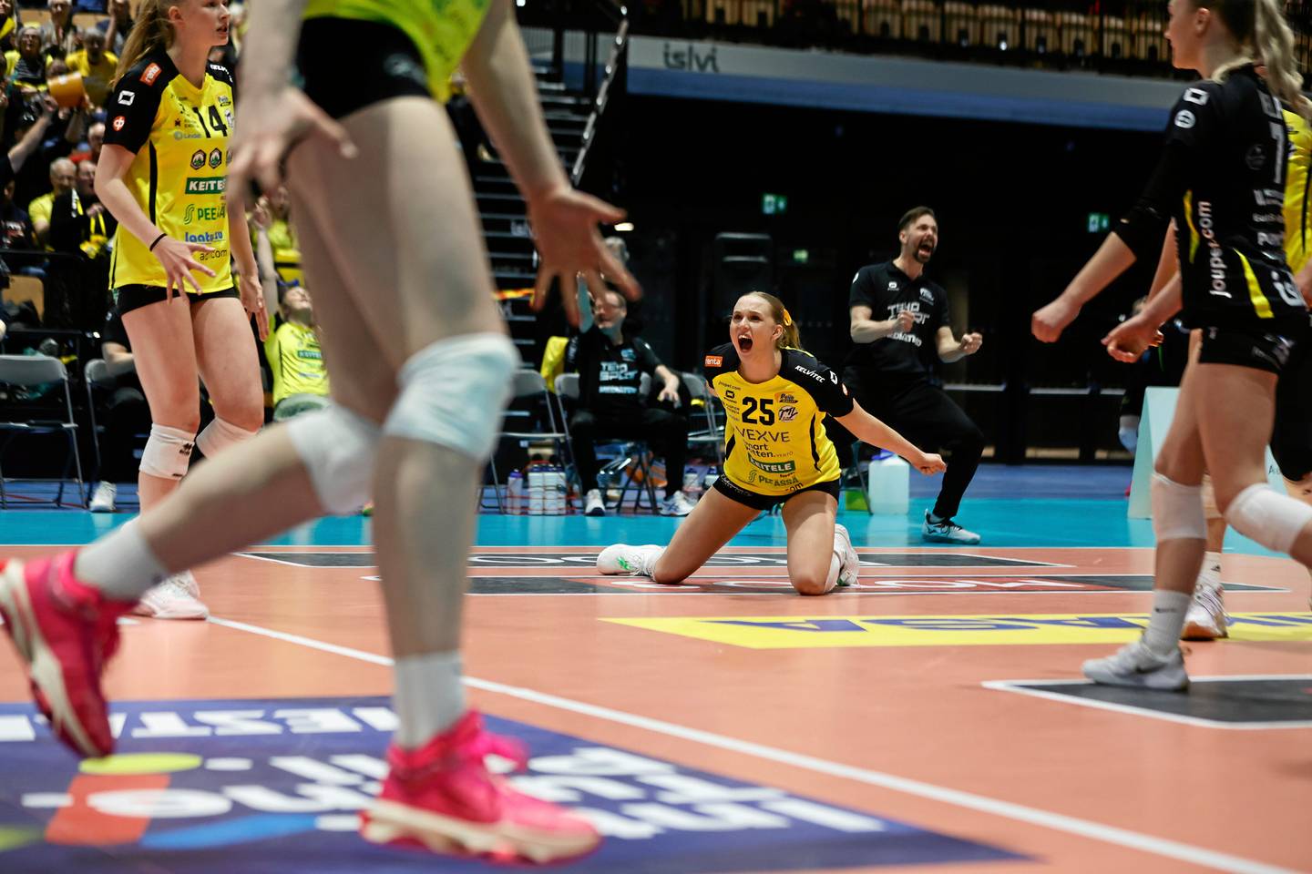 Lentopallon finaalit kohtaavat toisensa – Savo Volley etsii yhä yhtä pelaajaa 1