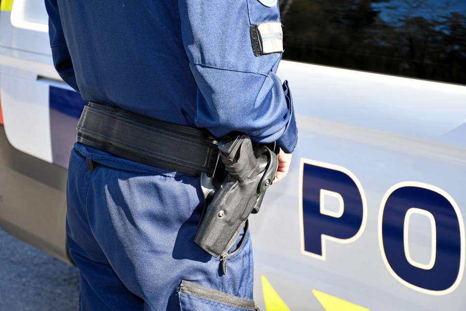 Mies hyökkäsi naisen ja koiran kimppuun Sipoossa – pakeni poliisilta Mies hyökkäsi naisen ja koiran kimppuun Sipoossa – pakeni poliisilta 1