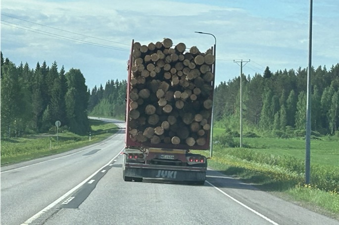 Puulastujen hinnat nousevat Suomessa kesäkuussa 1