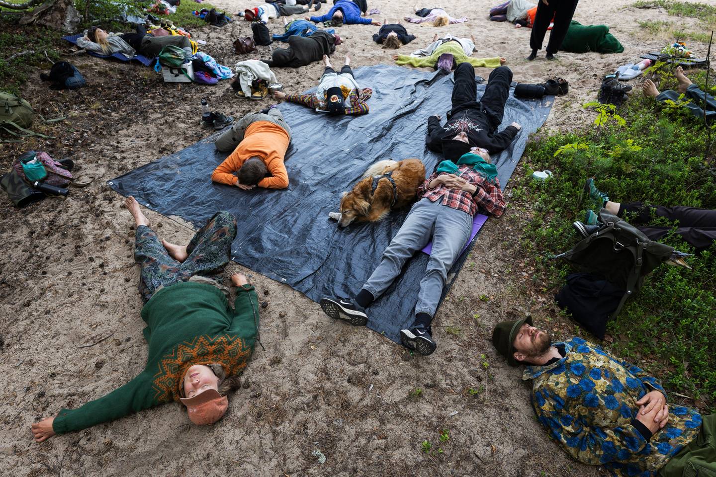Ärjänsaari oli kymmenen vuotta sitten hakkuukiistan keskipiste – nyt saari houkuttelee retkeilijöitä, leiriläisiä ja taidefestivaalien kävijöitä. Ärjänsaari oli kymmenen vuotta sitten hakkuukiistan keskipiste – nyt saari houkuttelee retkeilijöitä, leiriläisiä ja taidefestivaalien kävijöitä. 1