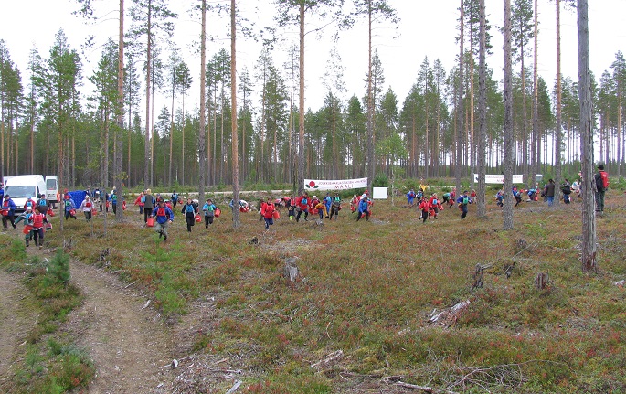 Suomi hylkää suurimman osan viisumihakemuksista marjanpoimijoilta. 1