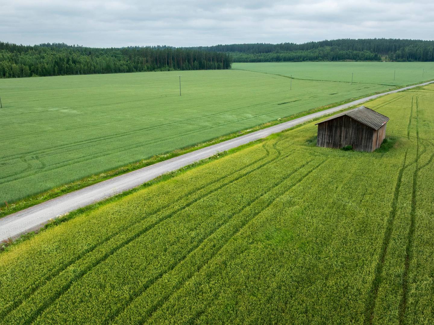 Suomi vaatii uusia rajoituksia Venäjälle – samalla tuonti lisääntyi 15 miljoonalla eurolla 1