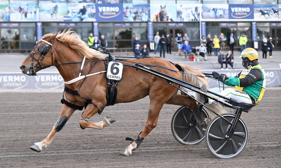 Vilkkeen Villi nousi tämän vuoden menestyneimmäksi 1