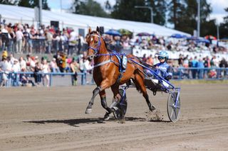 Huippuhevoset erityistarkkailussa Vermossa 5