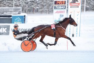 Huisi Hippu hakee hyvitystä harakoille menneelle kesäkaudelleen 7