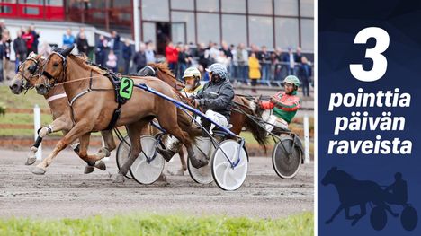 Huisi Hippu hakee hyvitystä harakoille menneelle kesäkaudelleen 1