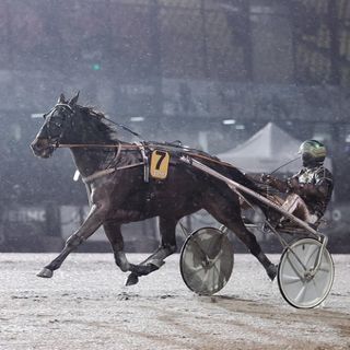 Kuuma-cupin voittajalle kymppitonni Vermossa 4 Kuuma-cupin voittajalle kymppitonni Vermossa 3