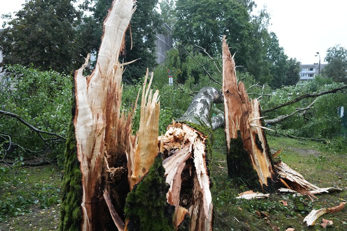 Latvia still faces power outages days after deadly storm 1