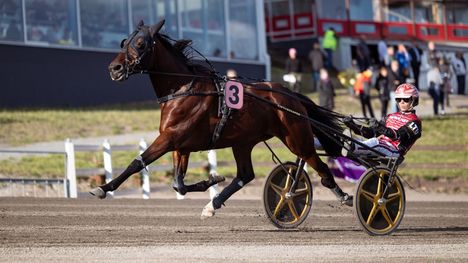Lightning Stride ei yltänyt loppukilpailuun Ruotsissa 1
