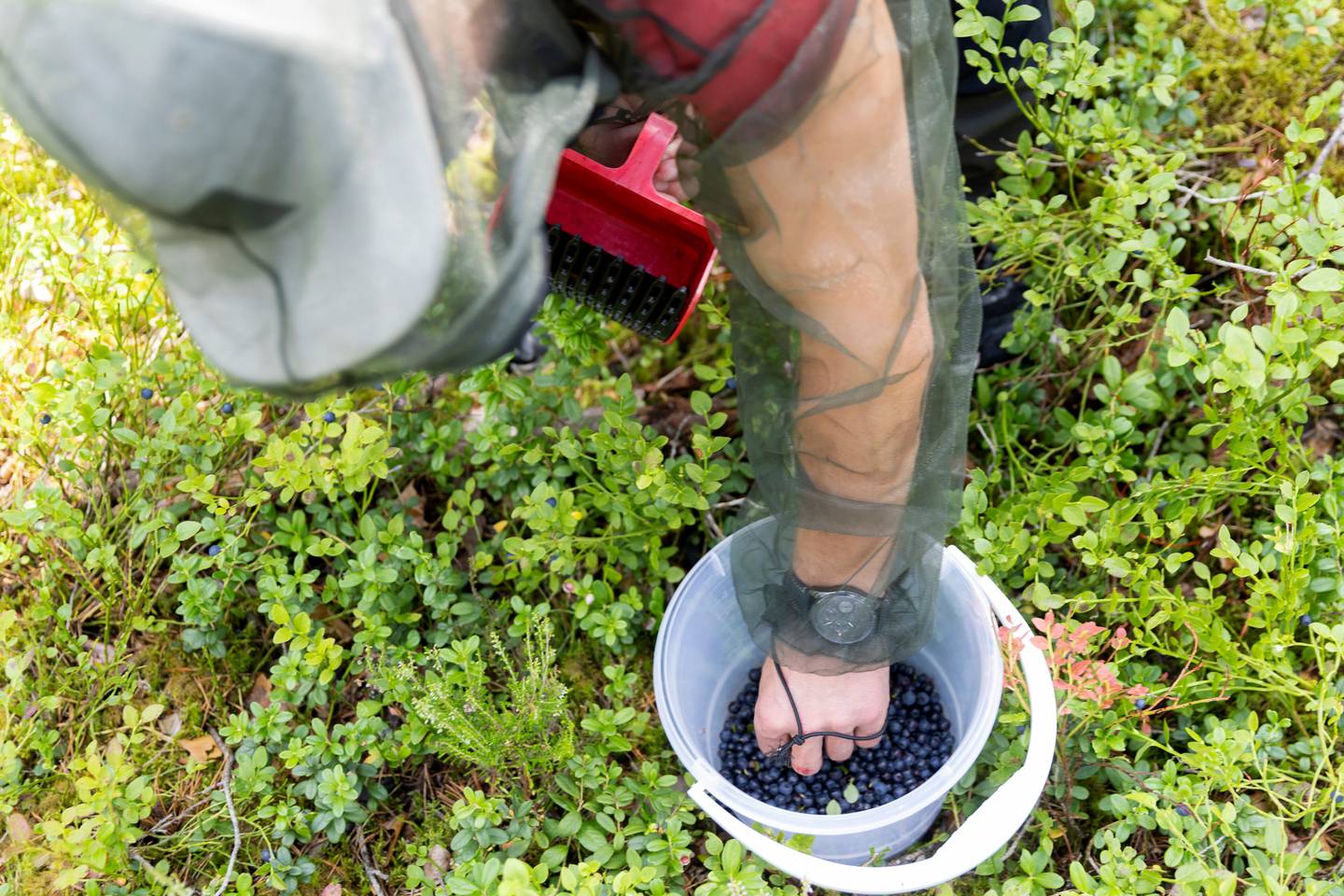Maastossa eksyminen on yhä harvinaisempaa – näin toimitaan, jos eksyt Maastossa eksyminen on yhä harvinaisempaa – näin toimitaan, jos eksyt 1