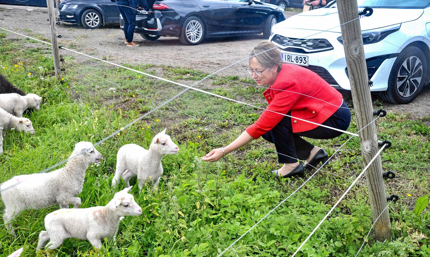 Ministeri Sari Essayah vieraili sikaruttoalueella ja lupasi toimia viljelijöiden ongelmien ratkaisemiseksi. Ministeri Sari Essayah vieraili sikaruttoalueella ja lupasi toimia viljelijöiden ongelmien ratkaisemiseksi. 1