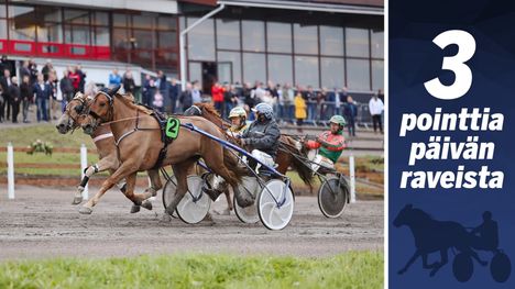 Hillitön hevosryntäys Lappeenrannan torstairaveihin 1