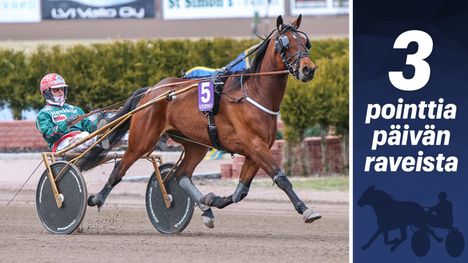Ray Boy voi nousta voittolistan kärkeen ensi talvena 1