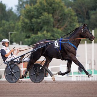 Vauhtis palaa pitkältä tauolta Mikkelin T75-raveissa 4 Vauhtis palaa pitkältä tauolta Mikkelin T75-raveissa 3