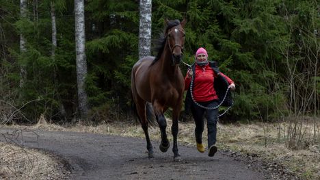 Viime talven komeetta palaa – ”Miksei voisi vielä vähän kehittyä” 1