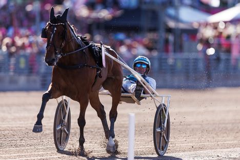 Allegiant voitti Elitloppetin Tukholmassa ja rikkoi maailmanennätyksen 2 Allegiant voitti Elitloppetin Tukholmassa ja rikkoi maailmanennätyksen 1