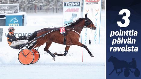 Impresario on voittanut jo 13 kertaa 2 Impresario on voittanut jo 13 kertaa 1