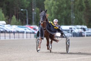 Brooklyn palaa kilparadoille – Pihlströmin Anders ja Huusarin tallin hevoset starttaavat Vermossa 4 Brooklyn palaa kilparadoille – Pihlströmin Anders ja Huusarin tallin hevoset starttaavat Vermossa 3