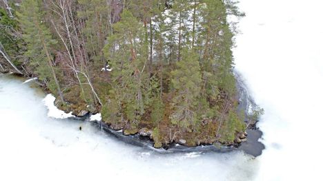 Käräjäoikeudelta tuomio Saara Arvan henkirikostapauksessa 8 Käräjäoikeudelta tuomio Saara Arvan henkirikostapauksessa 7