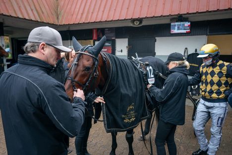 Hussard du Landret voitti Prix de Bretagnen ja varmistaa paikan Prix d’Ameriqueen 1