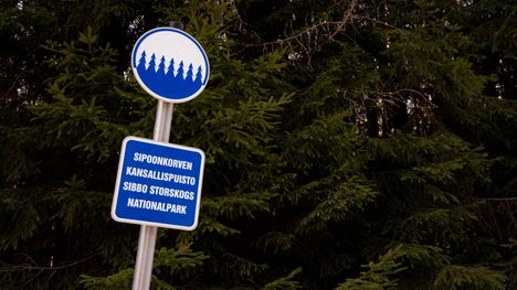 Sipoonkorven pysäköintisakko herättää närää – Metsähallitus: virhe on hoidossa 1 Kansallispuistojen pysäköintimaksut kuohuttavat kansaa. Kuva: Ville Maali