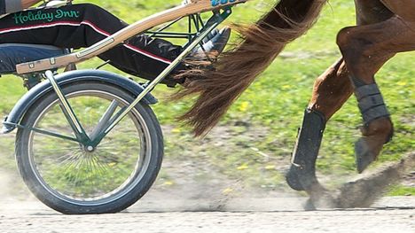 Ravit: Suomenhevosruuna Ekanova kuoli Suur-Hollolassa 1