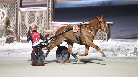 Santtu Raitalan Jockas Rita voitti Tammaderbyn 2 Santtu Raitalan Jockas Rita voitti Tammaderbyn 1