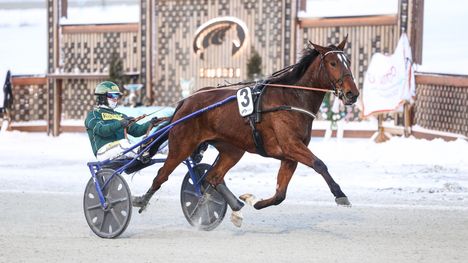 Santtu Raitalan Jockas Rita voitti Tammaderbyn 6 Santtu Raitalan Jockas Rita voitti Tammaderbyn 5