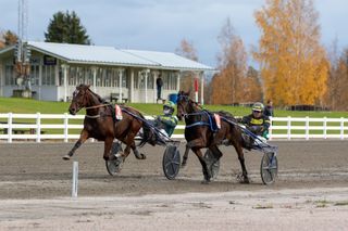 Siruko yrittää haastaa voittohirmun 6 Siruko yrittää haastaa voittohirmun 5