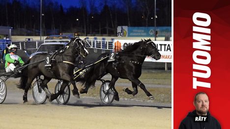 Sunrise Fria voitti Ponsse-cupin – Iivo Niskanen sytytti hevosen hirmulentoon 1
