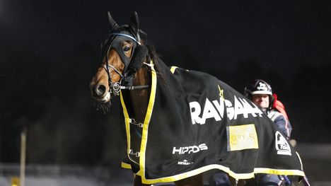 Teivossa ajettiin hienot T75-ravit 4 Teivossa ajettiin hienot T75-ravit 3