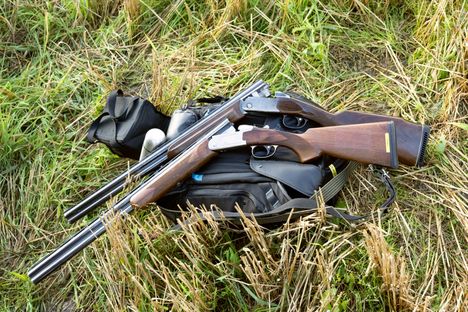 Valkoposkihanhien suojametsästys alkoi – näin kävi Asikkalassa 8 Valkoposkihanhien suojametsästys alkoi – näin kävi Asikkalassa 7