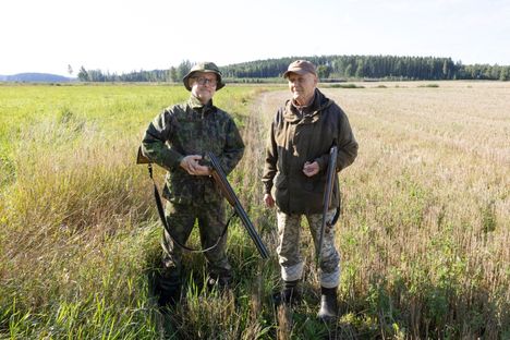 Valkoposkihanhien suojametsästys alkoi – näin kävi Asikkalassa 2 Valkoposkihanhien suojametsästys alkoi – näin kävi Asikkalassa 1