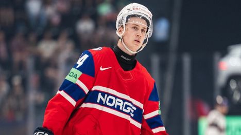 SHL: Raivo repesi – jääkiekkoilija syytti vastustajan äitiä huoraksi 2 SHL: Raivo repesi – jääkiekkoilija syytti vastustajan äitiä huoraksi 1