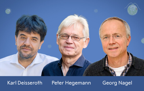 Trio palkittiin Nobelin fysiologian tai lääketieteen palkinnolla optogenetiikasta 1
